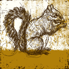 Poster - Squirrel