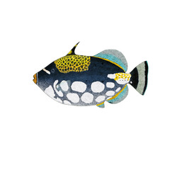 Poster - triggerfish