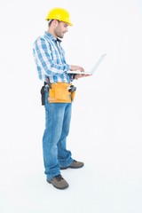 Poster - Full length of repairman using laptop
