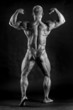 © Zsolt Biczó - The muscular male bodybuilder flexing