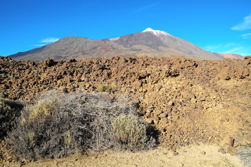 Desert Landscape