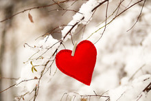 Textile Red Heart On Snowy Tree Brunch In Winter