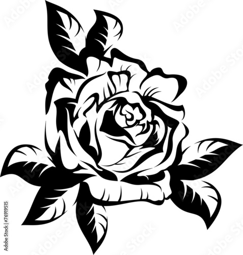 Obraz w ramie Black silhouette outline rose with leaves. Vector illustration.