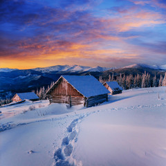 Canvas Print - cottage in snowy mountains with fabulous winter trees