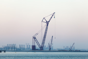 Wall Mural - Crane at the Persian Gulf coast in Dubai, United Arab Emirates