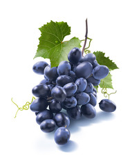 Wall Mural - Small dry blue grapes bunch isolated on white background
