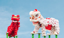 Chinese Lion Costume Dance During Chinese New Year Celebration