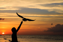 Silhouette Of Man Feeding Seagull At Sunset