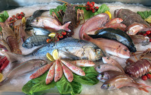 Great White Sea Bream Many Saltwater Fish In The Italian Restaur