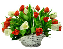 Basket Of Tulips