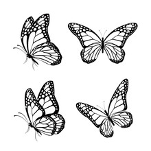 Set Of Realistic Colorful Butterflies Isolated For Spring