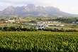 © ClaraNila - Weinanbau in Stellenbosch - Südafrika