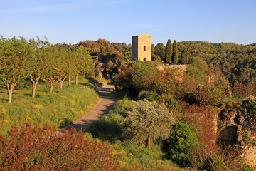 Wall Mural - medieval tower in village with rural landscape, Provence