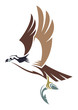 Stylized Bird - Osprey