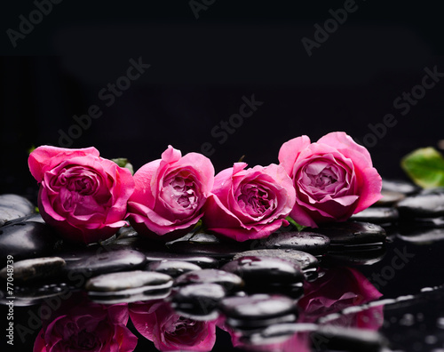 Fototapeta na wymiar Four rose and wet stones