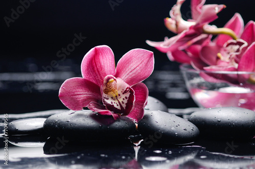 Fototapeta na wymiar Czerwona orchidea z kamieniami w wodzie