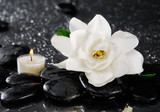 Fototapeta Desenie - Spa still with gardenia flower and candle on pebbles