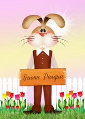 Wall Mural - Easter bunny