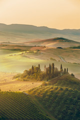 Wall Mural - Beautiful sunrise over the Val d'Orcia in Tuscany, natural park