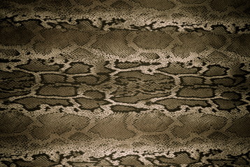 Wall Mural - texture of print fabric stripes snake for background