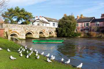 Poster - Christchurch Dorset England UK River Avon bridge