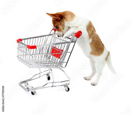 dog shopping cart