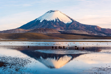 Snow capped Parinacota Volcano reflected in Lake Chungara, Chile