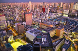 Fototapeta Las - 東京の築地地区の夕景