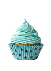 Wall Mural - Turquoise cupcake on white