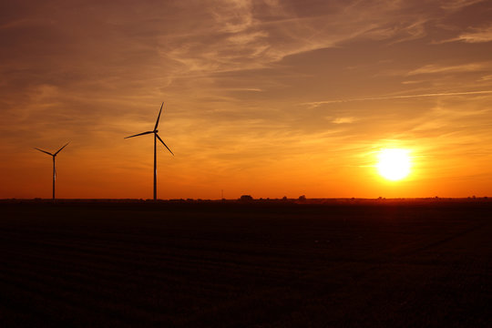 Windmills of the sunset in the background