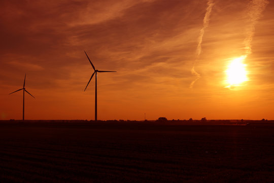 Windmills of the sunset in the background