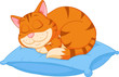 Cat cartoon sleeping on a pillow