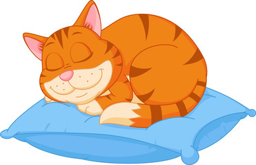 Wall Mural - Cat cartoon sleeping on a pillow