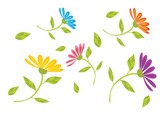 Fototapeta Dmuchawce - kwiaty,tapeta,tło,ozdoba,wiosna,
