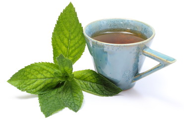 Fresh green mint and cup of beverage. White background