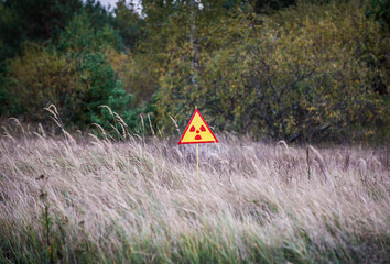 Wall Mural - Ionizing Radiation sign next to Red Forest in Chernobyl Zone