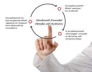 Canvas Print - How Do Mutual Funds Work?