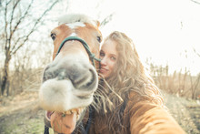 Selfie With Funny Face Horse