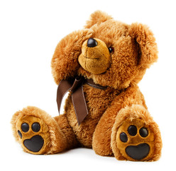 Toy teddy bear