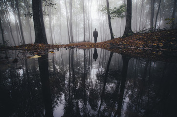 Fototapete - man reflection in lake in fantasy forest in autumn