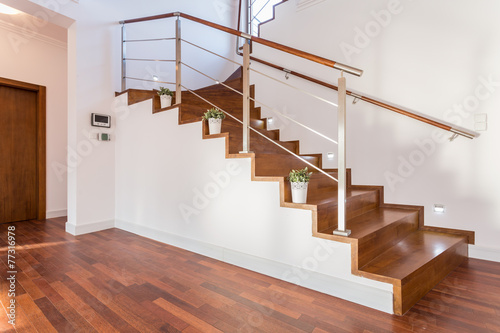 Cuadros en Lienzo Flowerpots situated on wooden stairs