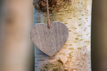 Love Heart  Tree Trunk Background
