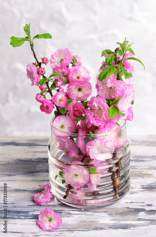 Beautiful fruit blossom in jar on table on grey background
