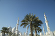 Jumeirah　mosque and palm tree