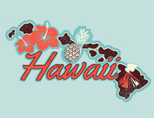 Vector Graphic T-shirt Design Of Hawaii In Retro Style