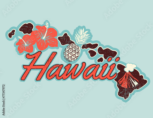 Fotografie, Obraz Vector graphic T-shirt design of Hawaii in retro style