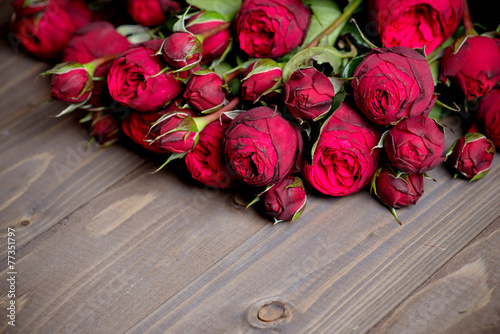 Naklejka na szybę Peony- rose on wood background