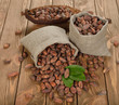 Cocoa beans in a bag