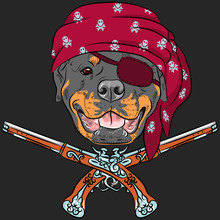 Vector Dog Rottweiler Pirate With Pistols