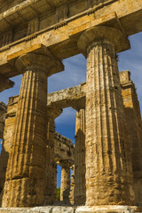 Fototapete - Temple of Paestum - Italy 